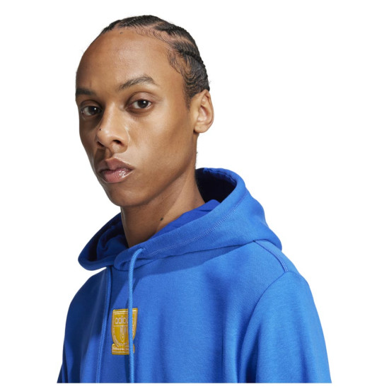 Adidas Ανδρικό φούτερ Graphic Hoodie